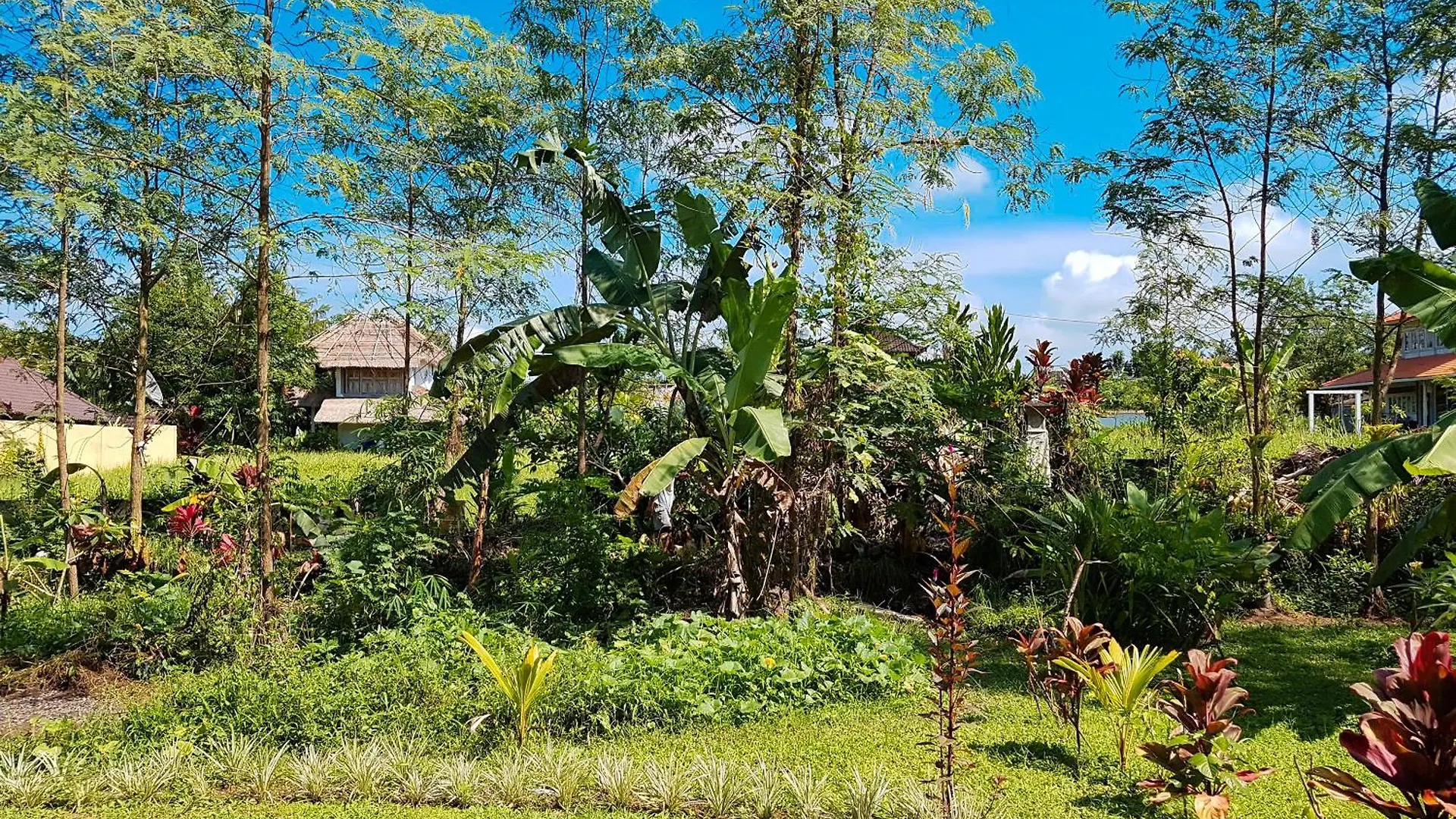 Santra Putra Guesthouse At Karja Art Space Ubud  0*, Ubud (Bali) Indonesia