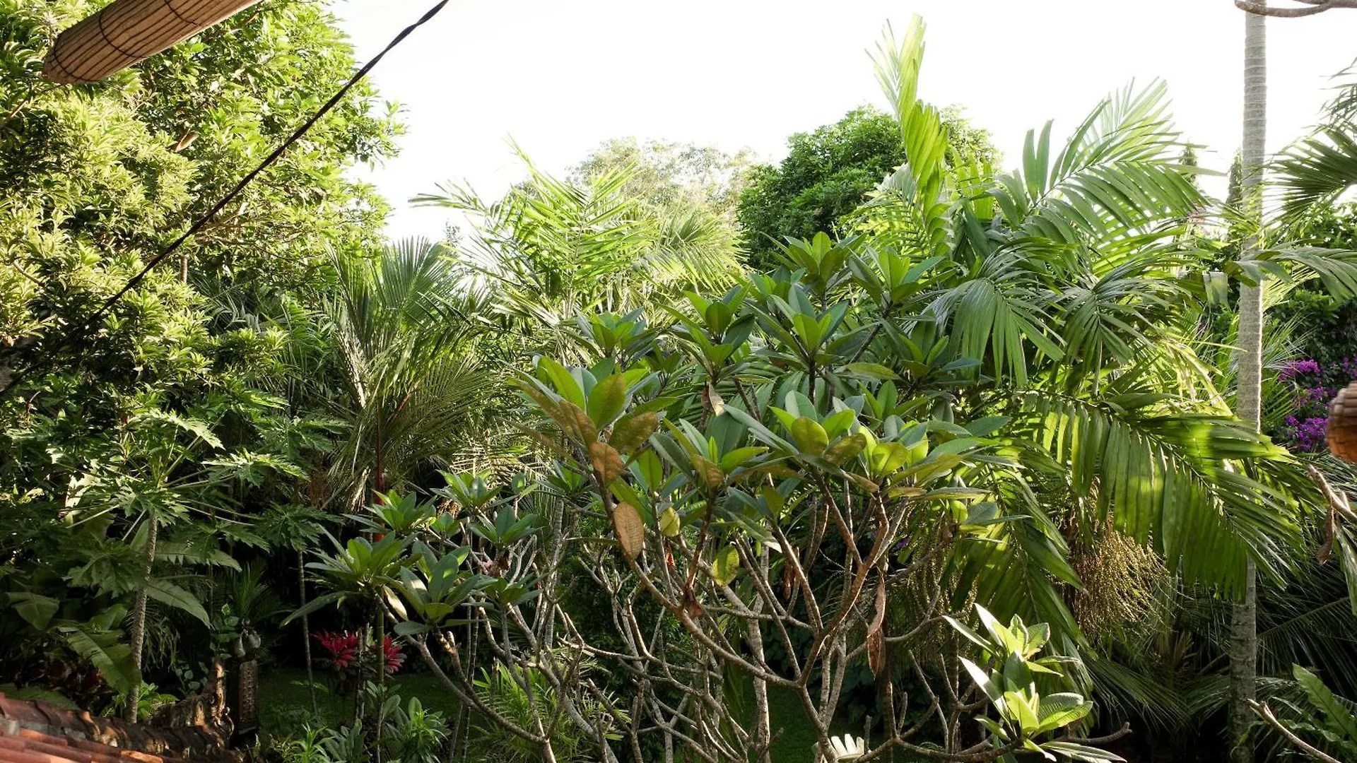 Guest house Santra Putra Guesthouse At Karja Art Space Ubud