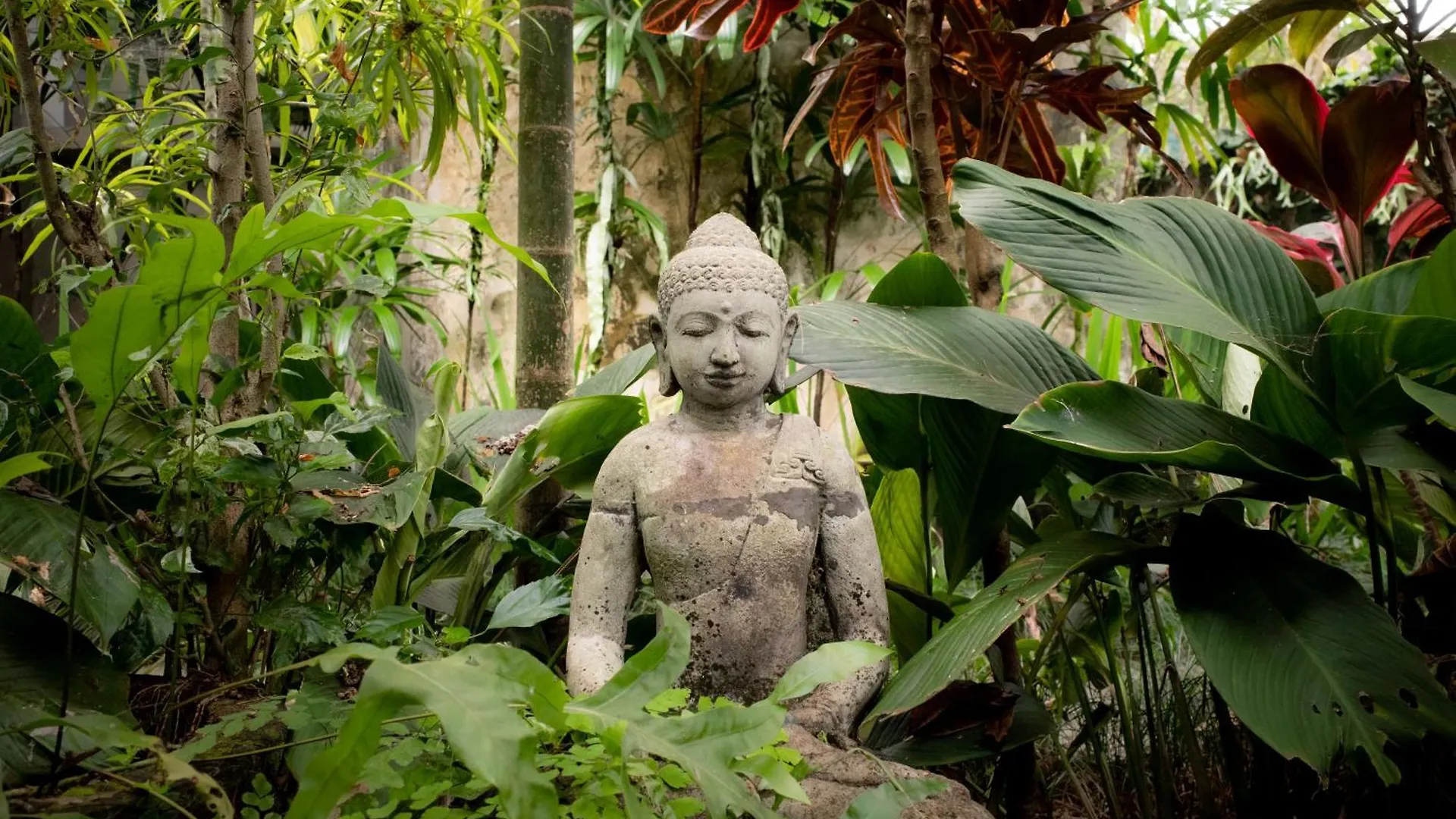 Guest house Santra Putra Guesthouse At Karja Art Space Ubud