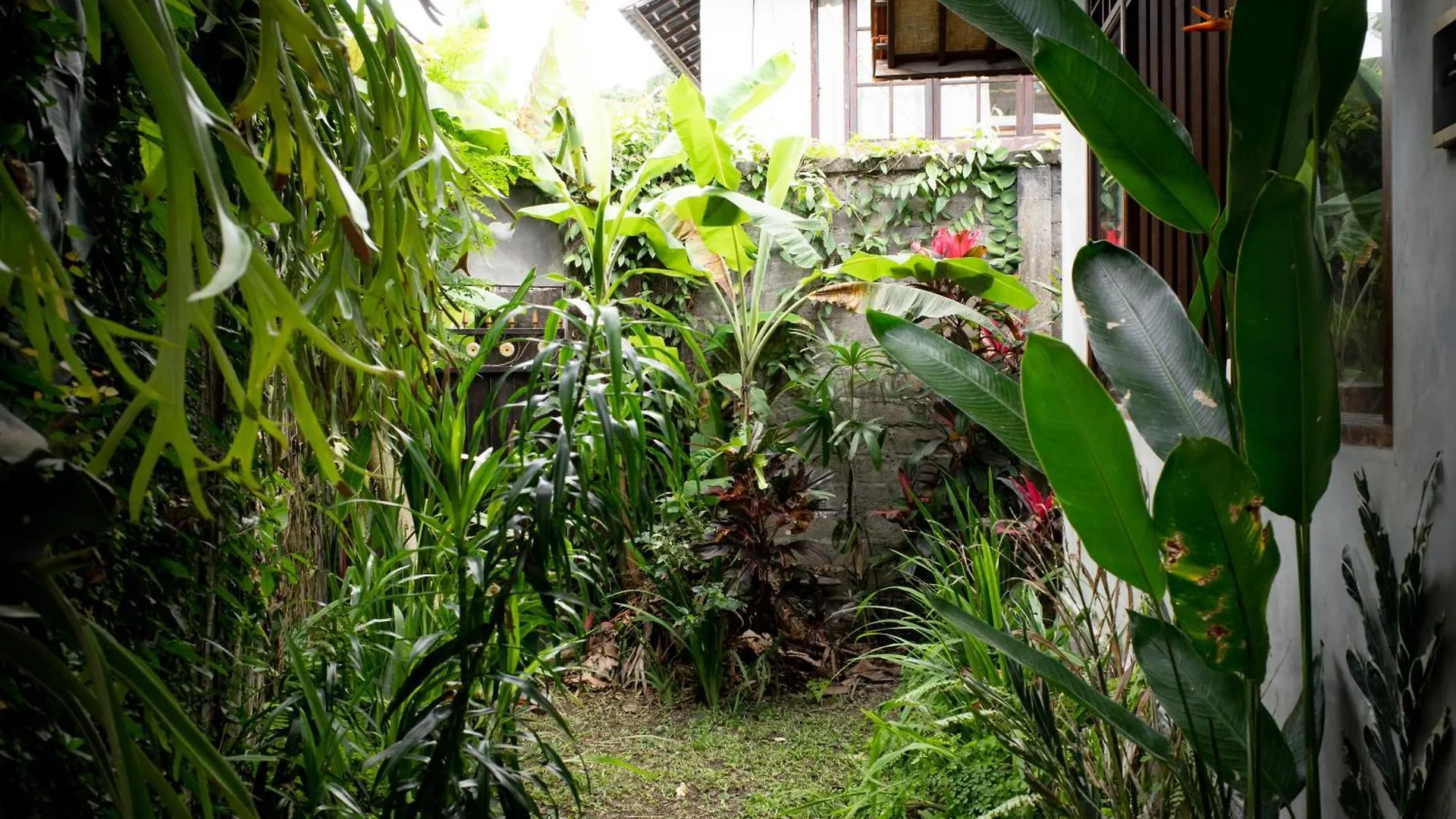 Santra Putra Guesthouse At Karja Art Space Ubud  0*, Ubud (Bali) Indonesia